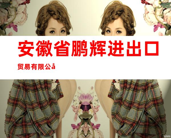 安徽省鹏辉进出口贸易有限公司